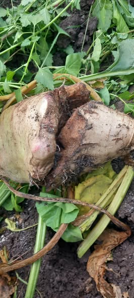 ممكن اعرف ايه السبب